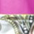 Fuchsia 247
